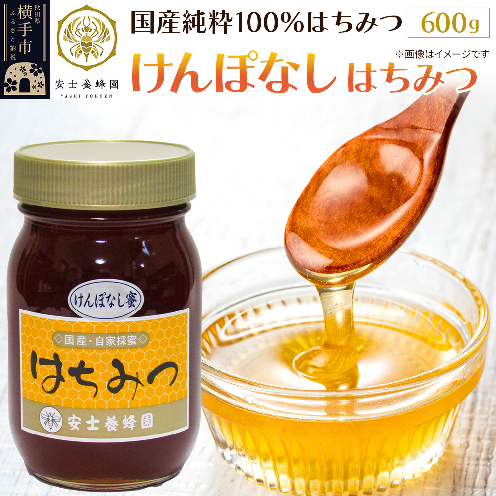 けんぽなしはちみつ 600g秋田県横手市13000鍋セット・総菜・加工食品ジャム・はちみつ