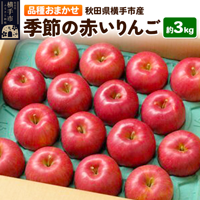 10月上旬より発送 季節の赤いりんご 約3kg(早生ふじ(やたか)、シナノスイート、早生ふじ(こまちふじ)、サンふじ)秋田県横手市10000果物・フルーツ