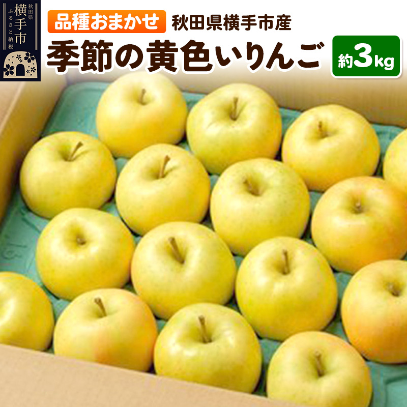 10月上旬より発送 季節の黄色いりんご 約3kg(トキ、ぐんま名月、シナノゴールド、王林)秋田県横手市10000果物・フルーツ