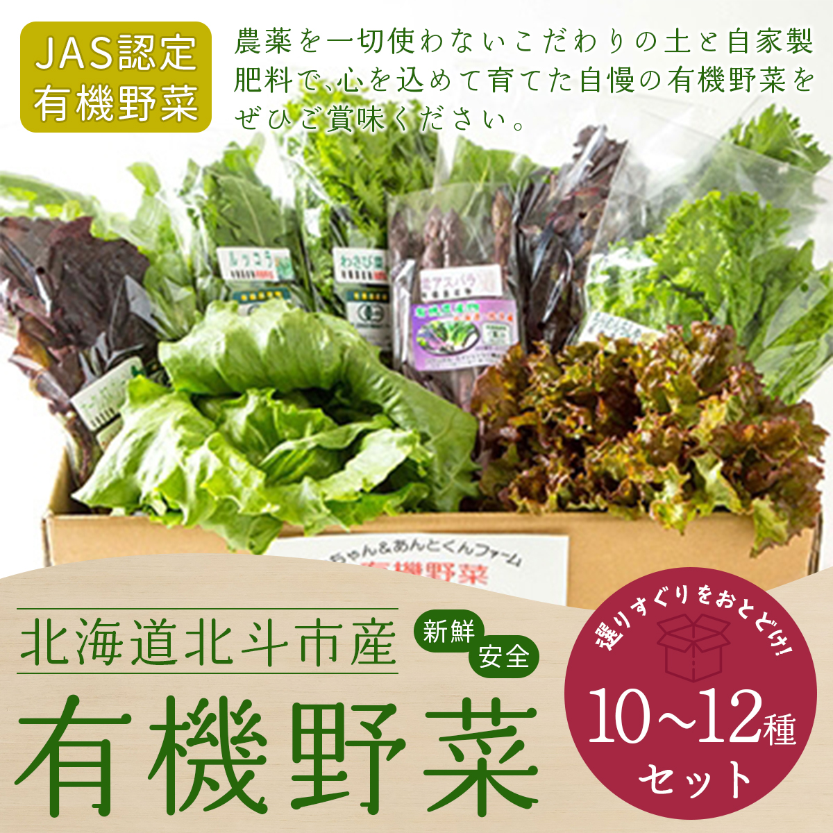 【JAS認定有機野菜】北斗市産 有機野菜10〜12種類野菜セット 紙箱入(季節で種類が変わります) HOKB021北海道北斗市23000野菜・きのこその他 野菜