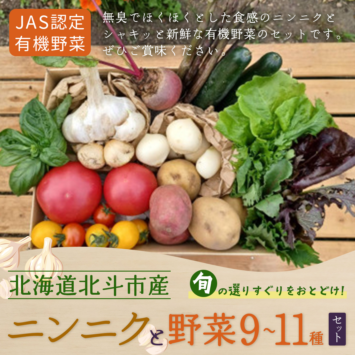 【JAS認定有機野菜】北斗市産 ニンニクと野菜9〜11種類野菜セット 紙箱入(季節で種類が変更) HOKB024北海道北斗市22000野菜・きのこその他 野菜