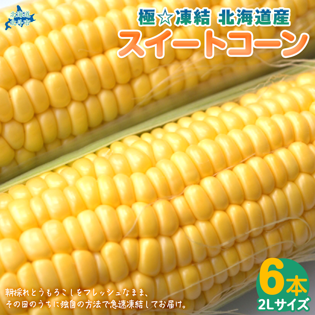 Ɂ kCYXC[gR[ HOKP001kCkls14000؁ÊƂ낱