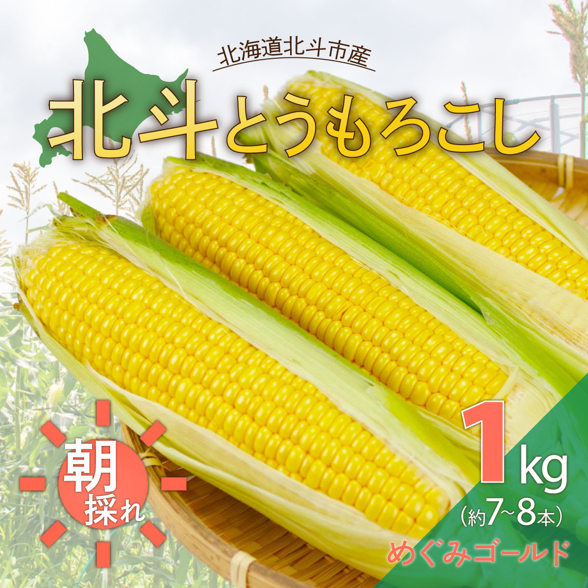 ystzklƂ낱 HOKY003kCkls11000؁ÊƂ낱