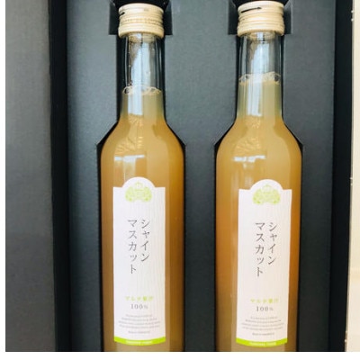 シャインマスカットジュース300ml×2本詰【配送不可地域:離島】【1273541】宮城県山元町14000お茶・飲料その他 お茶・飲料