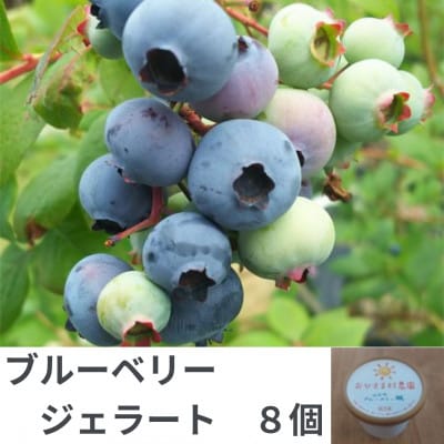 おひさま村農園のブルーベリージェラート 8個【配送不可地域:離島】【1419826】宮城県山元町12000菓子・スイーツアイス・ジェラート