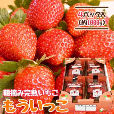 山元いちご農園 朝採り完熟いちご もういっこ 1.0kg(250g×4パック)【配送不可地域:離島・沖縄・九州】【1475586】宮城県山元町13000果物・フルーツいちご