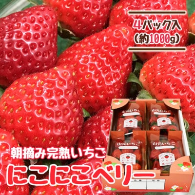 山元いちご農園 朝採り完熟いちご にこにこベリー 1.0kg(250g×4パック)【配送不可地域:離島・沖縄・九州】【1475588】宮城県山元町13000果物・フルーツいちご