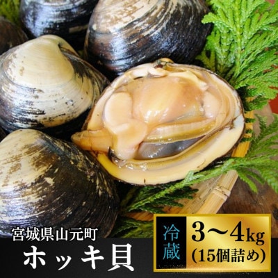 zbLL15(3`4kg)y{錧Rl`zlꂽĂ̑嗱kL͂܂ hgłyzsnFzy1479869z{錧R14000ECYL