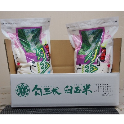 令和7年産 勾玉米こしひかり3kg×2袋【1225807】新潟県糸魚川市23000米・パン白米