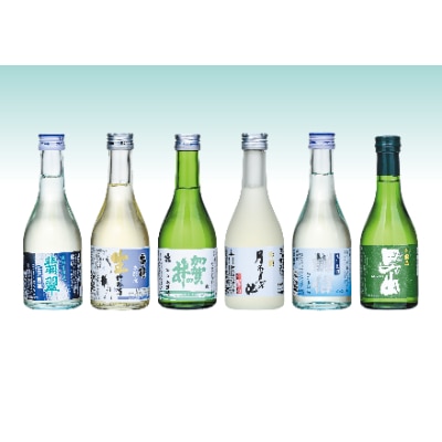 生貯蔵酒飲み比べセット 300ml×6種類【1228049】新潟県糸魚川市13500酒・アルコール日本酒
