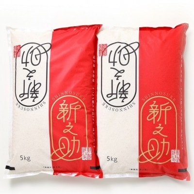 【毎月定期便】新潟県糸魚川産 新之助5kg×2袋 精米全6回【4001088】新潟県糸魚川市120000米・パン白米