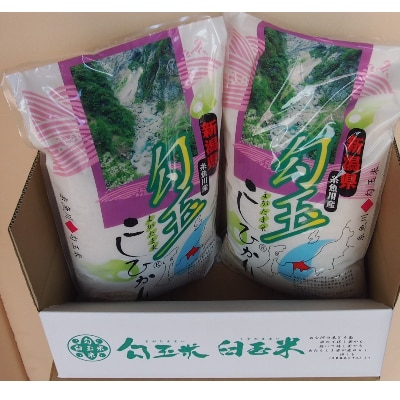 2023年2月発送開始『定期便』勾玉米こしひかり5kg×2袋全6回【5090302】新潟県糸魚川市100000米・パン白米