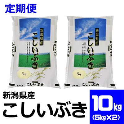 2023年1月発送開始『定期便』こしいぶき10kg(5kg×2袋)全6回【5091133】新潟県糸魚川市54000米・パン白米