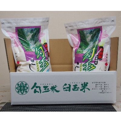 2023年4月発送開始『定期便』勾玉米こしひかり3kg×2袋全5回【5098896】新潟県糸魚川市50000米・パン白米