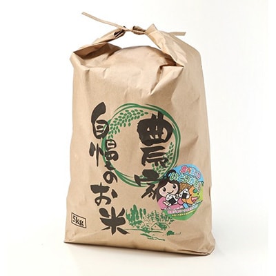 2023年7月発送開始『定期便』新潟県産 糸魚川産 コシヒカリ 100% 精米 5kg 全6回【5121984】新潟県糸魚川市46000米・パン白米