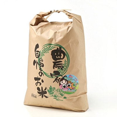 2023年2月発送開始『定期便』新潟県産糸魚川産 コシヒカリ 100% 精米 10kg 全6回【5121988】新潟県糸魚川市92000米・パン白米