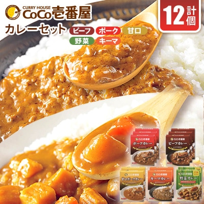 ココイチカレーDセット(ビーフ3個・ポーク3個・甘口2個・野菜2個・キーマ2個) 計12個【1316040】栃木県矢板市19000鍋セット・総菜・加工食品カレー・シチュー