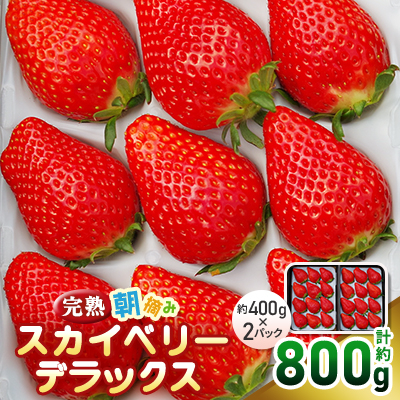 完熟朝摘みスカイベリー デラックス 800g【配送不可地域:離島・沖縄】【1328046】栃木県矢板市20000果物・フルーツいちご