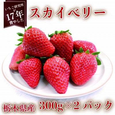 【2025年1月上旬より発送】スカイベリー 約300g×2パック【配送不可地域:離島】【1380002】栃木県矢板市12000果物・フルーツいちご