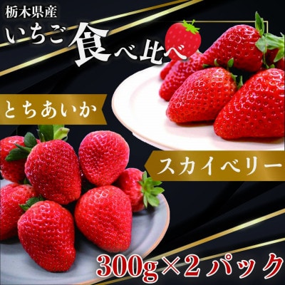 y2025N1{蔭zƂ×XJCx[@300g×e1pbNyzsnFzy1383707zȖ،s12000ʕEt[c