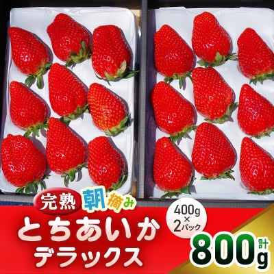 完熟朝摘みとちあいかデラックス 400g×2/計800g【配送不可地域:離島】【1481145】栃木県矢板市20000果物・フルーツいちご