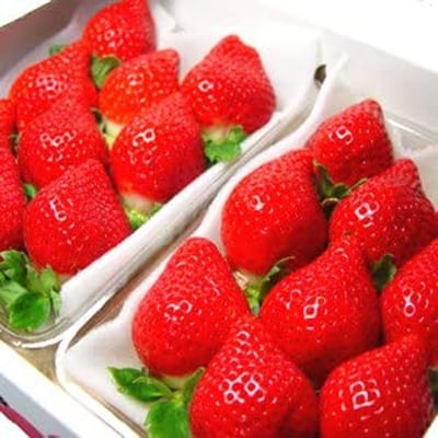 【先行受付】KINGあまおう大粒DX 福岡県岡垣町産 1,080g(270g×4パック)【配送不可地域:離島】【1145639】福岡県岡垣町15000果物・フルーツいちご