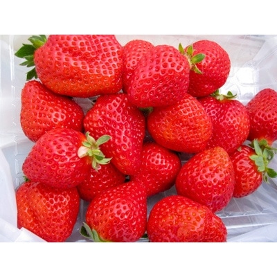 【先行受付】KINGあまおう 福岡県岡垣町産 1,320g(220g×6パック)【配送不可地域:離島】【1147560】福岡県岡垣町18000果物・フルーツいちご
