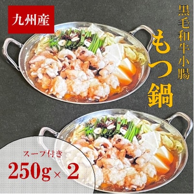 【500g】九州産ぷりぷりの小腸「割烹 もつ鍋セット」(250g×2セット)(岡垣町)【配送不可地域:離島】【1301453】福岡県岡垣町15000鍋セット・総菜・加工食品鍋セット