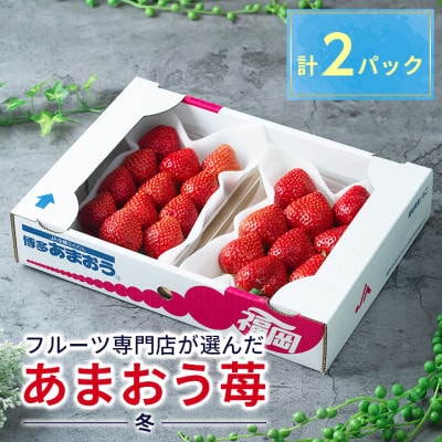 【11月下旬より順次発送】福岡産【冬】あまおういちご約250g×2パック(岡垣町)【配送不可地域:離島】【1308475】福岡県岡垣町14000果物・フルーツいちご