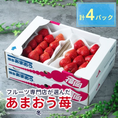 y11{菇zYy~z܂250g×4pbN(_)yzsnFzy1308476z_24000ʕEt[c
