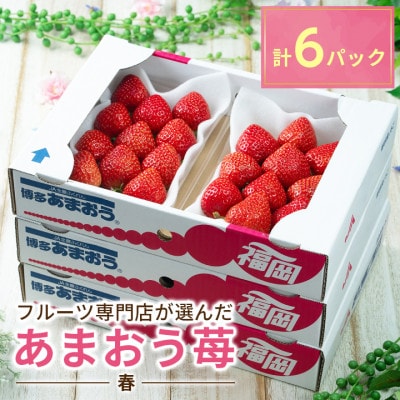 【2026年発送先行受付】福岡産【春】あまおういちご約250g×6パック(岡垣町)【配送不可地域:離島】【1308479】福岡県岡垣町20000果物・フルーツいちご