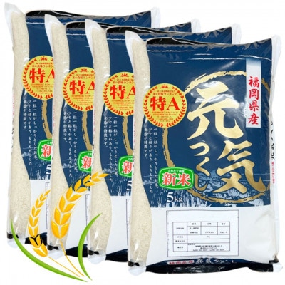 【令和7年産】福岡県産ブランド米「元気つくし」白米20kg(岡垣町)【1315923】福岡県岡垣町82500米・パン白米