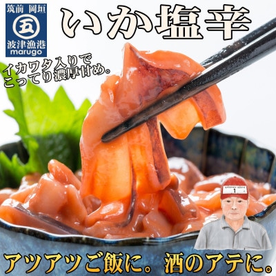 いか塩辛10食セット(岡垣町)【配送不可地域:離島】【1332897】福岡県岡垣町16000魚介・海産物その他 魚介・海産物