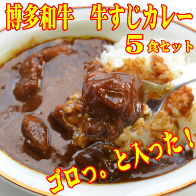 ゴロッ!と入ったコラーゲン牛すじカレー5食セット(岡垣町)【1332939】福岡県岡垣町13000鍋セット・総菜・加工食品その他 鍋セット・総菜・加工食品