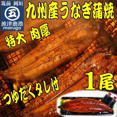 肉厚九州産うなぎ蒲焼1尾つゆだくタレ付 老舗鮮魚店秘伝の味(岡垣町)【配送不可地域:離島】【1333039】福岡県岡垣町19000魚介・海産物うなぎ