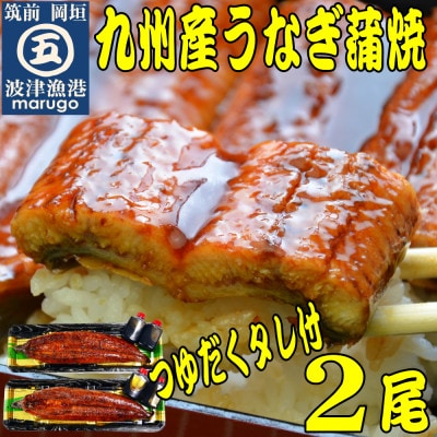 九州産うなぎ蒲焼2尾 秘伝つゆだくタレ付 老舗鮮魚店の味(岡垣町)【配送不可地域:離島】【1333041】福岡県岡垣町19000魚介・海産物うなぎ