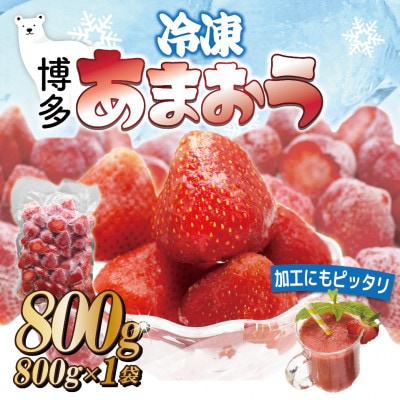 福岡県産冷凍あまおう800g(800g×1袋)(岡垣町)【配送不可地域:離島】【1412876】福岡県岡垣町9000果物・フルーツいちご