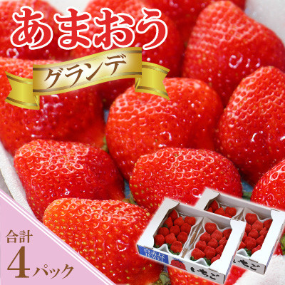 【あまおうグランデサイズ】3玉〜15玉(4パック)【1月より順次発送】(岡垣町)【配送不可地域:離島】【1441372】福岡県岡垣町15500果物・フルーツいちご