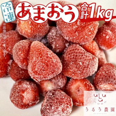 ystzⓀ܂1kg(_)yzsnFzy1449042z_12000ʕEt[c