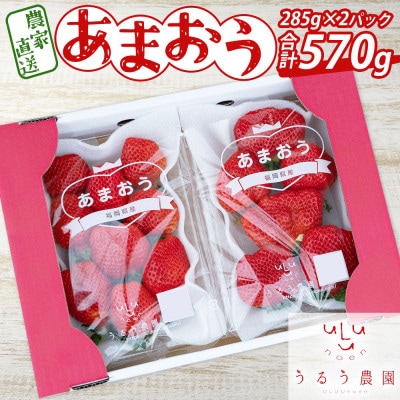 【先行受付】あまおうスタンダード2パック 570g(岡垣町)【配送不可地域:離島】【1449055】福岡県岡垣町16000果物・フルーツいちご