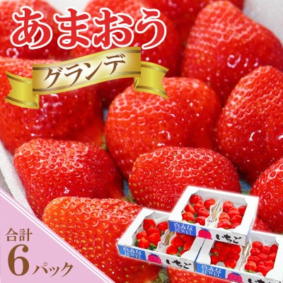 【あまおうグランデサイズ】3玉〜15玉(6パック)【1月より順次発送】(岡垣町)【配送不可地域:離島】【1524328】福岡県岡垣町17000果物・フルーツいちご
