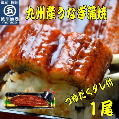 九州産うなぎ蒲焼1尾 秘伝つゆだくタレ付 老舗鮮魚店の味(岡垣町)【配送不可地域:離島】【1530852】福岡県岡垣町16500魚介・海産物うなぎ