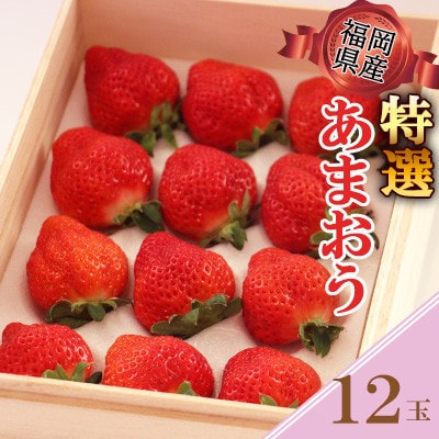 Yy2024N12{菇\zI܂ 12(_)yzsnFzy1553042z_19000ʕEt[c