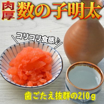 ̎qq210g(_)yzsnFzy1557822z_10500ECY̑ ECY