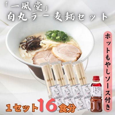 ラー麦使用「一風堂」とんこつラーメン 白丸 計16食(8食×2)【ホットもやしソース付き】(岡垣町)【1587747】福岡県岡垣町19000麺ラーメン