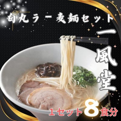 「一風堂」白丸 ラー麦麺セット 合計8食分セット(岡垣町)【1587752】福岡県岡垣町10000麺ラーメン