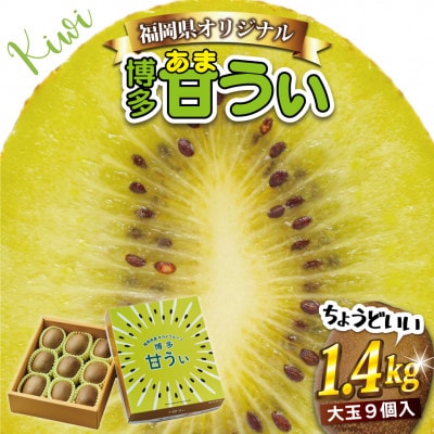 【2025年11月より順次発送】福岡県キウイフルーツ「博多甘うぃ」化粧箱 大玉9玉約1.4kg【配送不可地域:離島・北海道・沖縄】【1620465】福岡県岡垣町11000果物・フルーツその他 果物・フルー