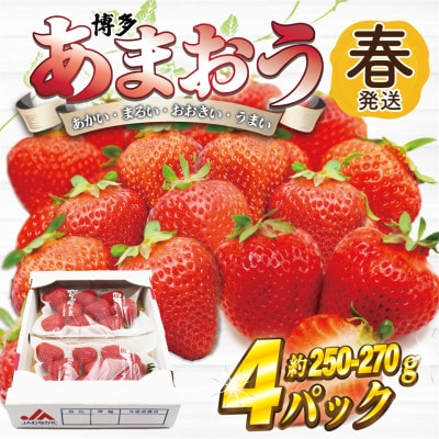 【2026年2月上旬〜4月下旬発送予定】博多あまおう(春)(250g-270g)×4パック(岡垣町)【配送不可地域:離島・北海道・沖縄】【1622743】福岡県岡垣町10500果物・フルーツいちご