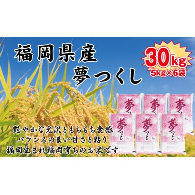 【令和7年産新米】【食味鑑定士厳選】福岡県産 夢つくし30kg(5kg×6袋)(岡垣町)【1664488】福岡県岡垣町90000米・パン白米