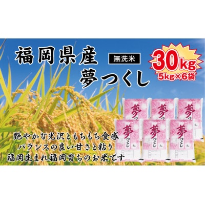 《無洗米》【令和7年産新米】【食味鑑定士厳選】福岡県産 夢つくし30kg(5kg×6袋)(岡垣町)【1664494】福岡県岡垣町96000米・パン無洗米